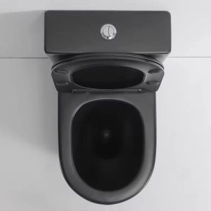 Luxurious Black Tornado Washdown Water closet